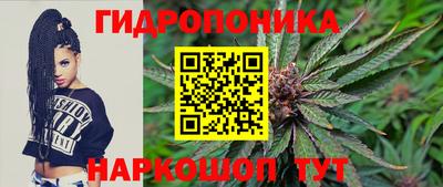 крисы Анапа