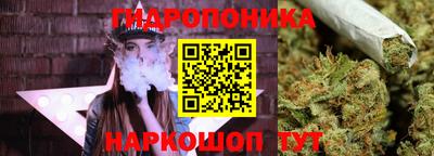 трава Анжеро-Судженск